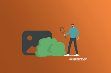 View hidden pictures with Picturemate