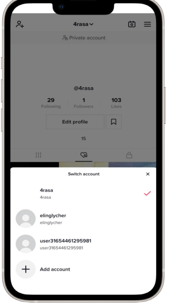 multiple tiktok account