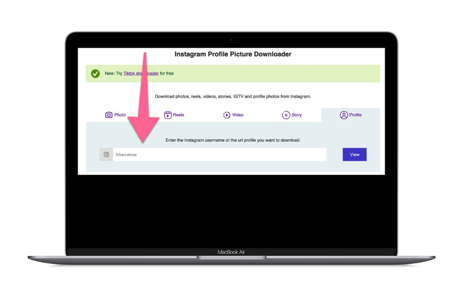 how to download instagram profile picture PC